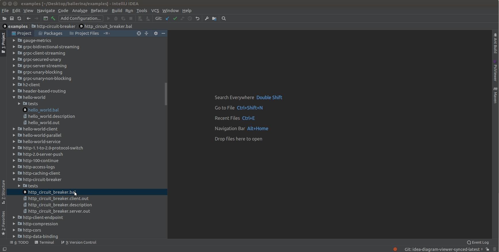 Using the features of the IntelliJ plugin